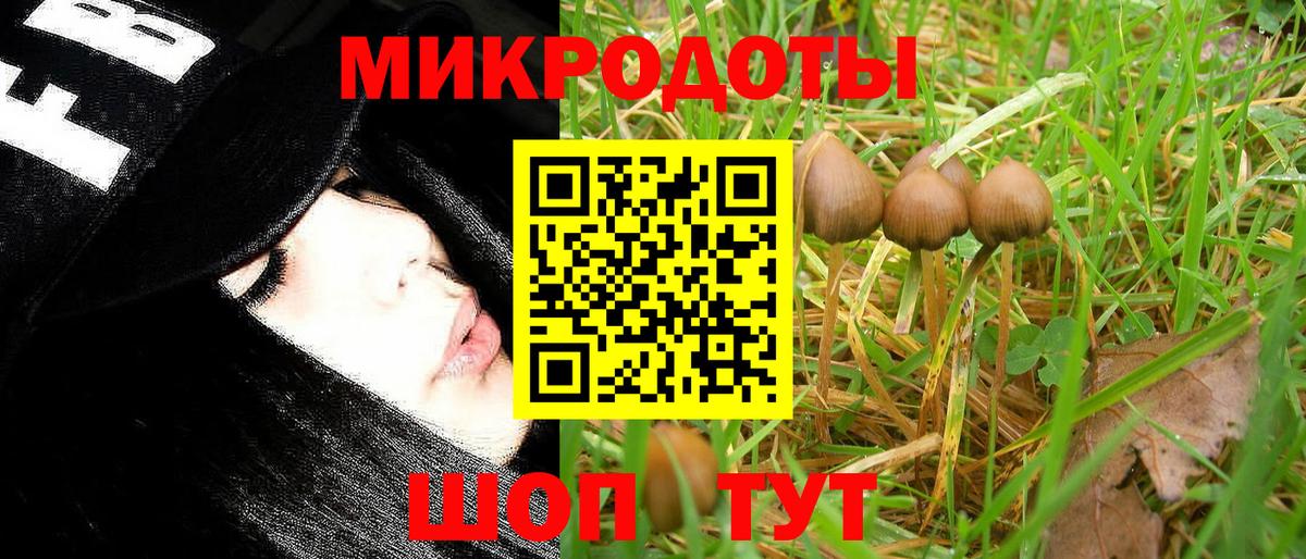Галлюциногенные грибы MAGIC MUSHROOMS Ливны